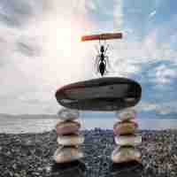 脚​本​ 分​镜‌